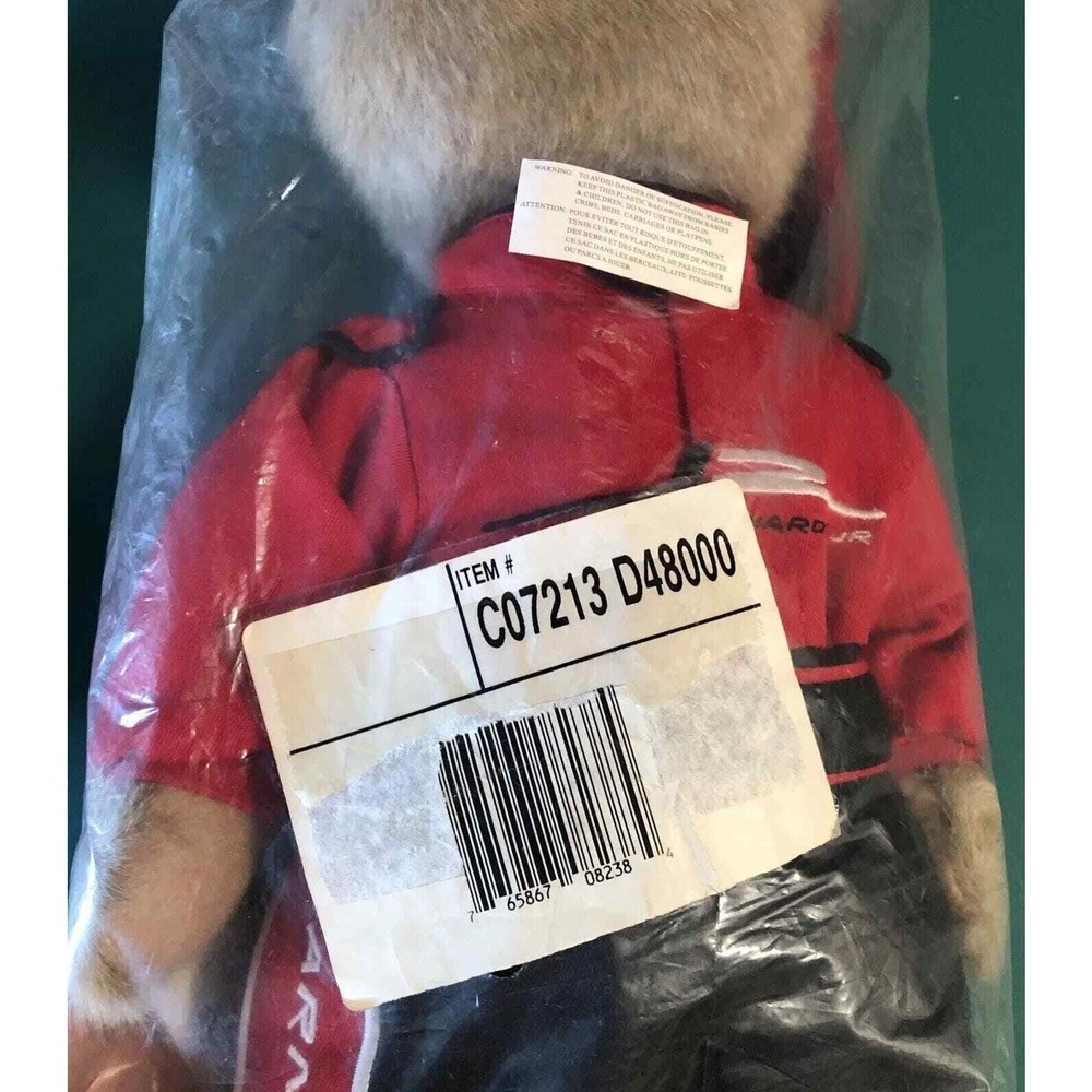 Boyds Bear Doll Dale Earnhardt Jr #8 NASCAR Plush‎ Collection New Unopened 10" - Picture 3 of 8